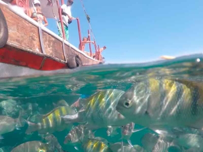 Passeio para Angra dos Reis saindo do Rio de Janeiro
