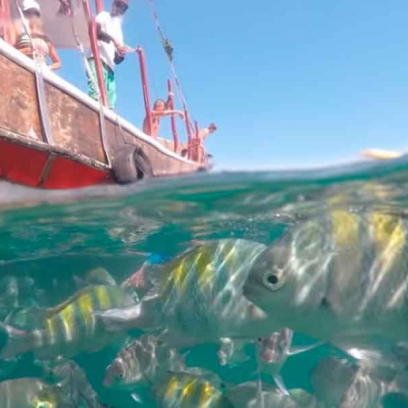 Passeio para Angra dos Reis saindo do Rio de Janeiro