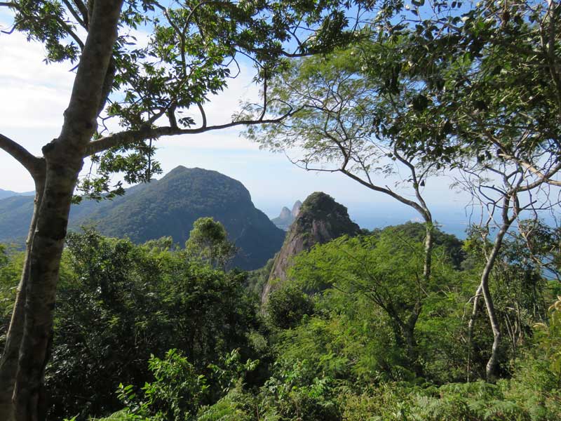 Trilha da Pedra Bonita - Rio de Janeiro
