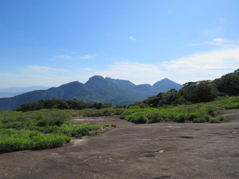 Trilha da Pedra Bonita - Rio de Janeiro