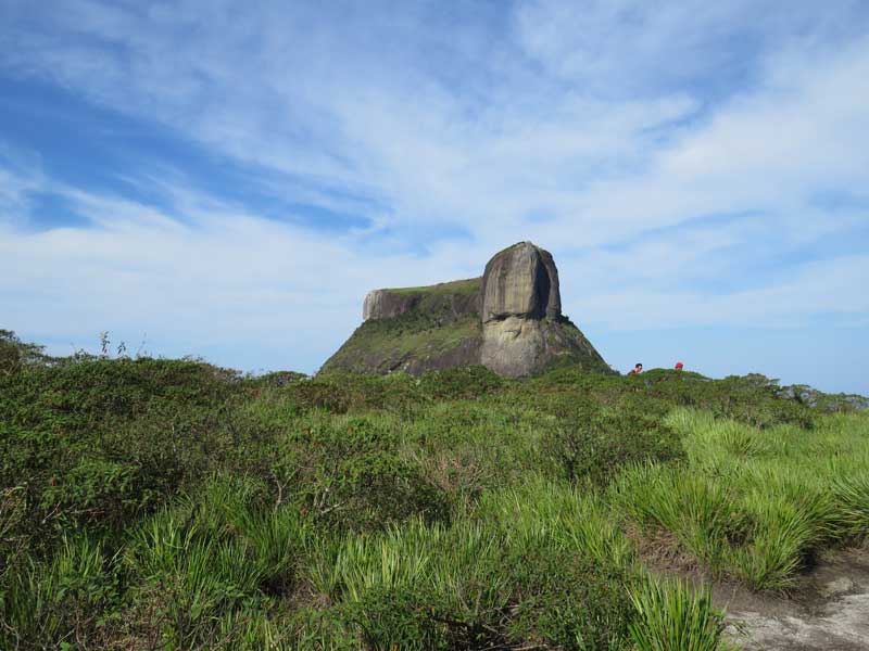 Trilha da Pedra Bonita - Rio de Janeiro
