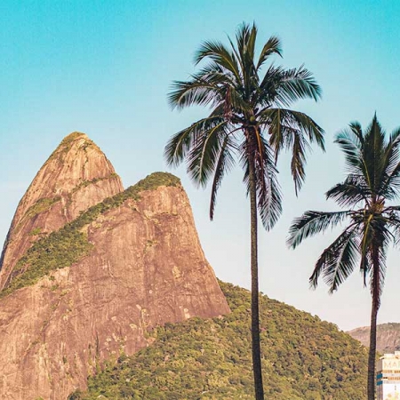 Trilha do Morro Dois Irmãos - Vidigal - Rio de Janeiro