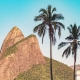 Trilha do Morro Dois Irmãos - Vidigal - Rio de Janeiro