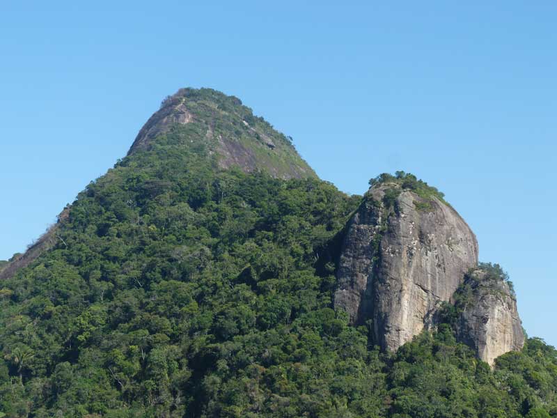 Trilha do Pico da Tijuca - Rio de Janeiro