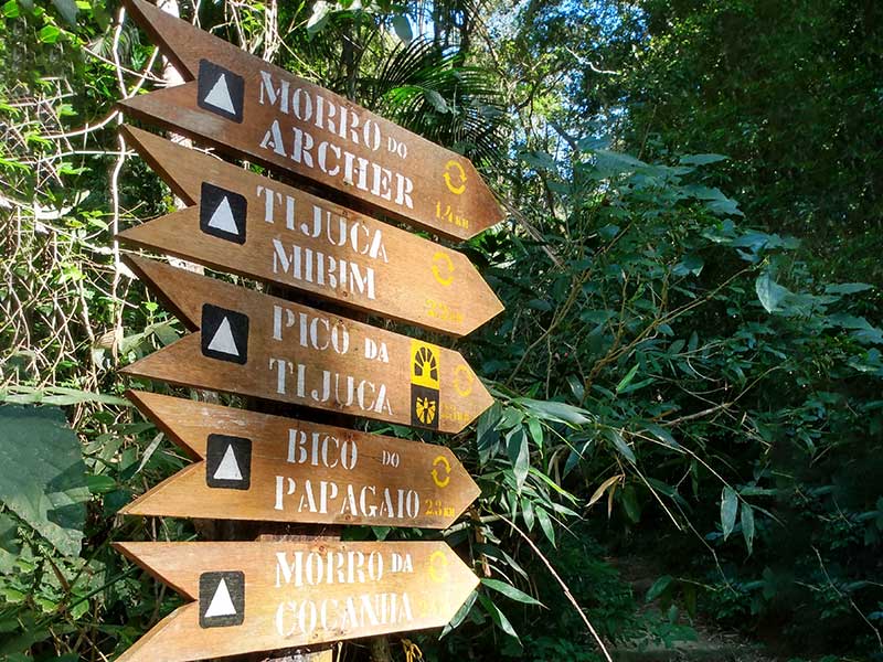 Trilha e Rapel no Bico do Papagaio - Floresta da Tijuca - Rio de Janeiro